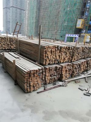 工地接木方工程 接木方標準